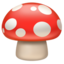 🍄 🍄
