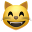 😸 😸