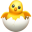 :hatching_chick: 🐣
