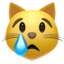 :crying_cat_face: 😿